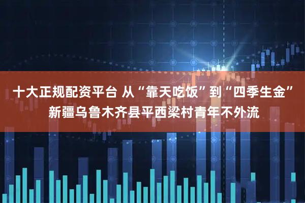 十大正规配资平台 从“靠天吃饭”到“四季生金” 新疆乌鲁木齐县平西梁村青年不外流