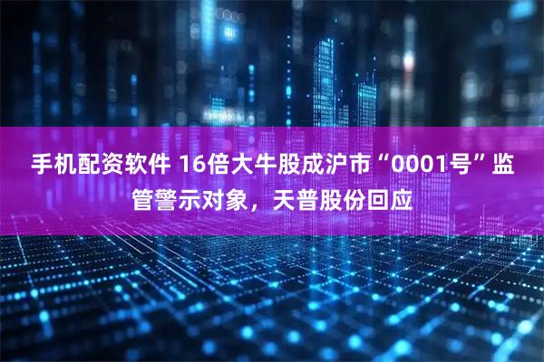 手机配资软件 16倍大牛股成沪市“0001号”监管警示对象，天普股份回应