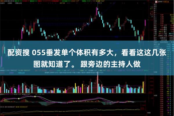 配资搜 055垂发单个体积有多大，看看这这几张图就知道了。 跟旁边的主持人做